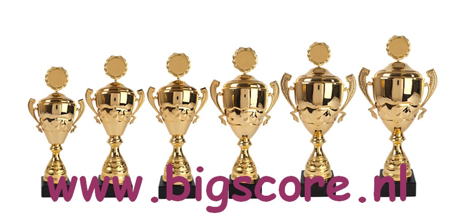 AK5136 Beker Goud met oren